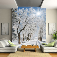 特价个性化墙纸壁纸电视背景墙 客厅卧室风景雪景霜挂壁纸F024