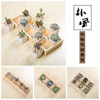 朴风特卖/多肉花盆花器托盘 木瓷系列 木盒/实木组合/白瓷日式