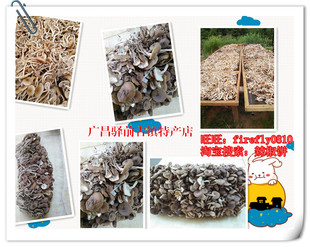 2015新广昌特级茶树菇纯天然野生菌菇产地直销500g