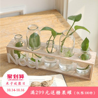 简约透明玻璃台面小花瓶 水培绿萝植物客厅摆件  五联木座花瓶