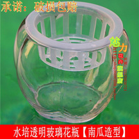 小南瓜造型 水培瓶 水培玻璃花瓶 透明 器皿圆形花盆绿植花瓶盆栽