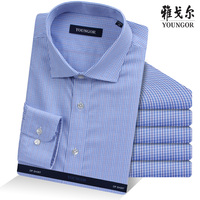 雅戈尔2015新品纯棉长袖衬衫商务正装格子衬衫修身免烫正品时尚