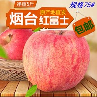 山东烟台精品红富士果苹果径约75mm新鲜水果5斤装包邮