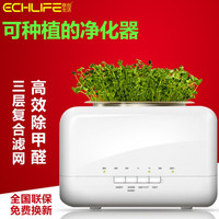 植物空气净化器家用 创意广告促销礼品 可种绿植 复合滤网送种子