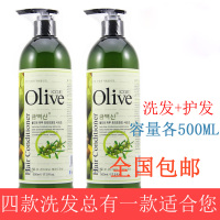 包邮 正品专柜CO.E韩伊olive橄榄系列洗发水护发素2件套装500ml