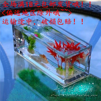 包邮桌面透明玻璃花瓶 长方形花瓶 水培水养植物容器 也可做鱼缸
