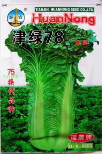 津绿78天秋大白菜种子/天津地方优质蔬菜种子/高产抗病/彩包10克