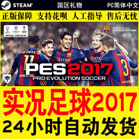 PC中文正版 实况足球2017 Pro Evolution Soccer 2017 pes2017