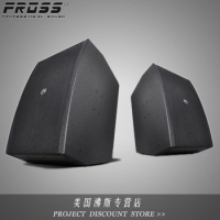 Fross/沸斯 K2210 双10寸号角高音HIFI音箱书架音箱KTV专用音响