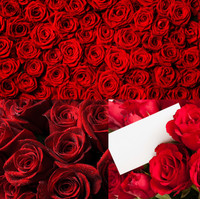 高清红色玫瑰背景图片素材 浪漫婚庆婚礼背景模板设计素材
