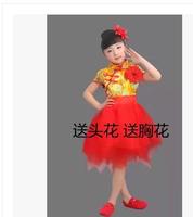 女童中国风演出服女子成人最炫民族风表演服少儿古筝二胡琵琶服