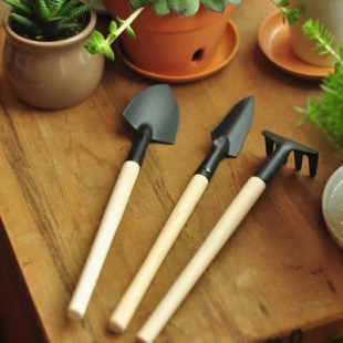 园艺用品 园艺工具 迷你三件套 阳台种花种菜 小铲子 养花神器