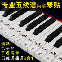 88键专业透明钢琴键贴纸61电子琴键盘手卷钢琴键贴五线谱简谱