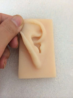 成人1：1 仿真耳朵 耳朵模型 耳朵 耳膜型 硅胶针灸耳朵 模型