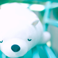 北极熊抱枕 毛绒车用抱抱熊 办公室靠垫生日礼物女生玩具玩偶公仔