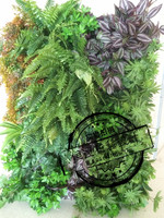 定制 仿真绿植墙 家居装饰墙 样板房 户外装饰 植物装饰墙 立体