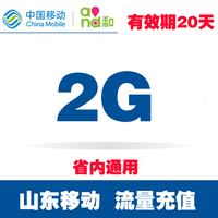 山东移动手机上网流量加油叠加包充值2G 省内234g通用20天有效