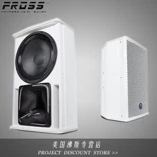 Fross/沸斯 CD-510 hifi舞台专用音箱号角高音10寸无源高保真音箱