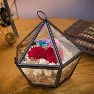 3朵七彩永生花玻璃罩透明红色玫瑰鲜花男生送女朋友毕业生日礼物