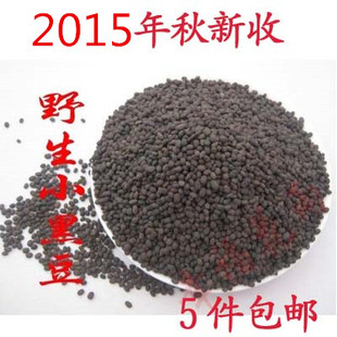 2015年新收黄河滩纯野生小黑豆小野豆俗称马料豆珍稀品种5件包邮