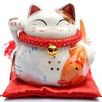 祝愿猫招财猫 6英寸年年有鱼白金色彩招财猫 储蓄罐/存钱罐 正版