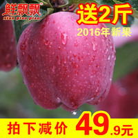 礼县新鲜苹果水果 甜脆多汁礼县花牛苹果 8斤送2斤 吃的苹果批发