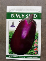 包邮茄子种子蔬菜种子 大红袍茄子 紫罐茄长卵形 生长速度快 10克