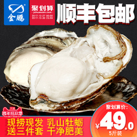 金鹏 乳山牡蛎鲜活生蚝5斤 顺丰包邮新鲜生蚝肉海鲜水产海蛎子