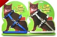 溜猫绳宠物猫链猫咪牵引猫咪用品拴猫绳遛猫带小猫胸背带