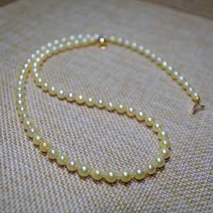 超稀有AKOYA天然淡金色日本海水珍珠项链极强光正圆微瑕精美正品