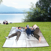 防潮垫户外防水防潮野餐垫草地垫子单人双人多人春游户外垫铝膜垫