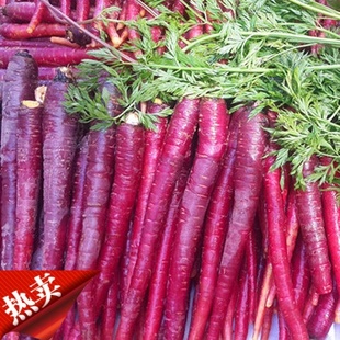 野生农家新鲜蔬菜水果紫黑色皮生吃细小胡萝卜素含量高2斤装包邮