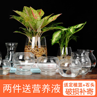 创意家居饰品透明玻璃小花瓶摆件鲜花干花绿植水培花器特价包邮