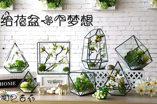 创意几何立体玻璃花盆铁艺花房现代简约仿真花多肉微景观家居装饰