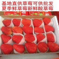 草莓 新鲜水果 酸草莓1盒