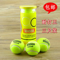 桶装天龙网球训练用网球 3粒筒装耐打网球 适合各种场地 包邮