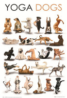 猫猫狗狗百宠图海报 儿童房 幽默瑜伽YOGA宠物店有框装饰画照片墙