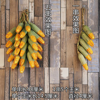 青玉米串绿皮儿玉米串仿真蔬菜假食物模型挂件农作物果实装饰道具