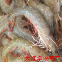 大连庄河海鲜特产 鲜活野生新鲜大对虾 大海虾25~28个头左右1斤
