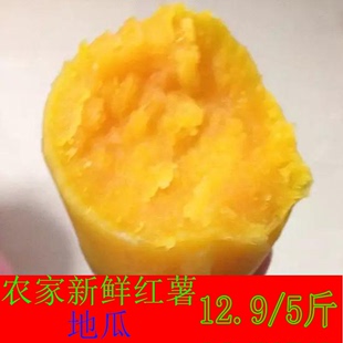 2016 农家自种新鲜地瓜 番薯 小红薯纯天然黄心地瓜 5斤包邮
