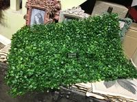 仿真草坪绿化墙体地毯草皮假叶子米兰阳台绿植装饰绿色植物背景墙
