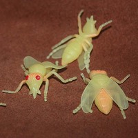safari仿真昆虫大百科模型早教认知玩具场景摆件 塑料荧光苍蝇
