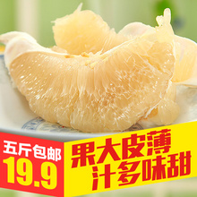 【现摘】福建平和琯溪蜜柚 白肉柚子新鲜水果白柚子5斤白肉蜜柚