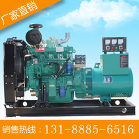 潍坊发电机组 50千瓦kw柴油发电机组 有刷无刷发电机 静音箱可选