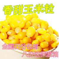 美国进口冷冻超甜玉米粒水果玉米披萨沙拉炒饭炒菜500gKFC供