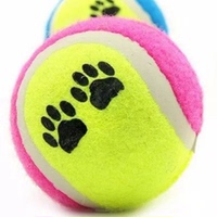 宠物狗狗玩具网球泰迪贵宾金毛比熊雪纳瑞猫吉娃娃小狗磨牙玩具球