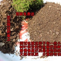 武陵山天然有机腐殖土腐叶土君子兰花土营养土花卉土多肉土种菜土