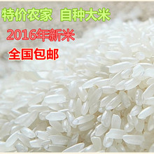 2016农家自产大米新米纯天然非转基因稻花香米不抛光2.5kg5斤包邮