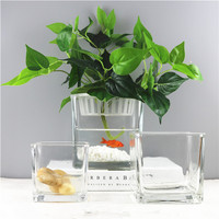 包邮小清新正方形水培器皿植物花盆玻璃花瓶透明方缸绿萝睡莲鱼缸