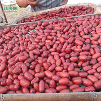 山区农家散种红枣 天然无添加糖精枣子 250g